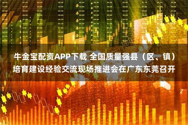 牛金宝配资APP下载 全国质量强县（区、镇）培育建设经验交流现场推进会在广东东莞召开